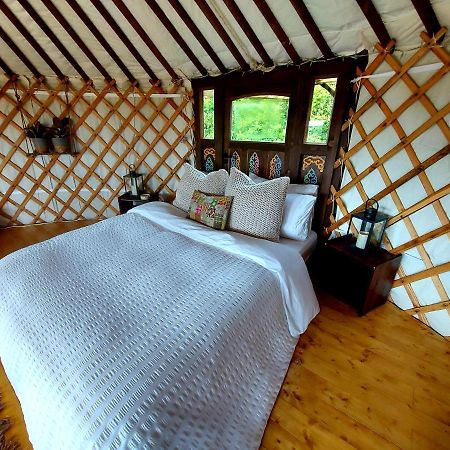 The Kites Rest At Castle Creavie Farm Hotell Kirkcudbright Exteriör bild