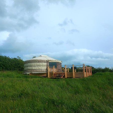 The Kites Rest At Castle Creavie Farm Hotell Kirkcudbright Exteriör bild