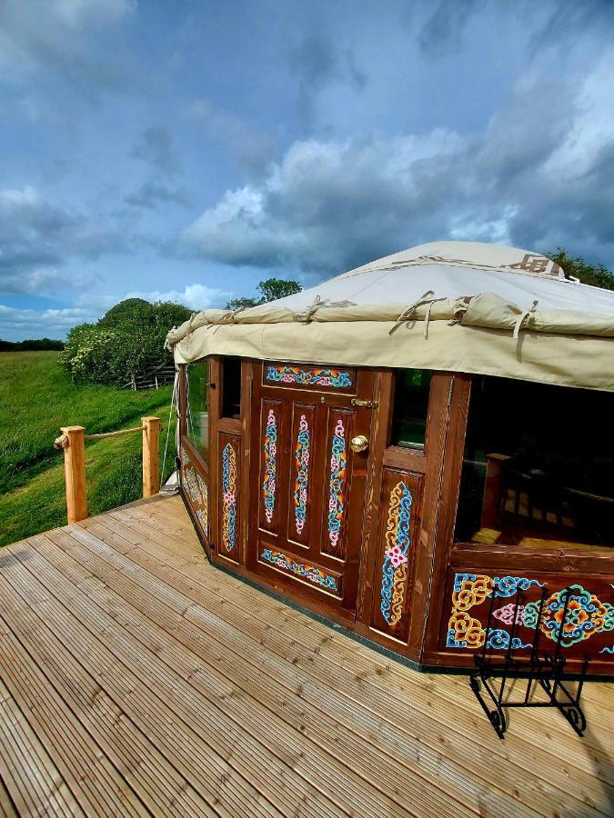 The Kites Rest At Castle Creavie Farm Hotell Kirkcudbright Exteriör bild